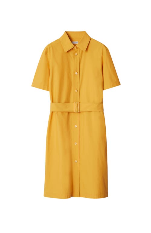 Shop Burberry Cotton Blend Shirt Dress In Sunflower