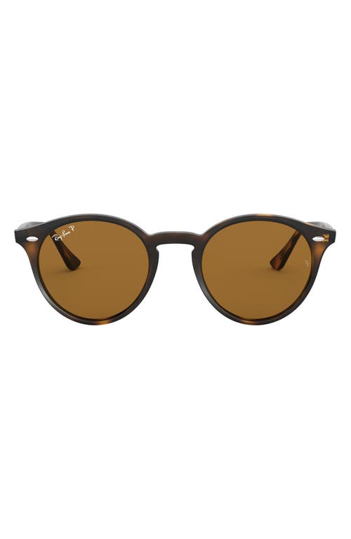 EAN 8053672416039 product image for Ray-Ban 49mm Polarized Round Sunglasses in Dark Havana Solid at Nordstrom | upcitemdb.com