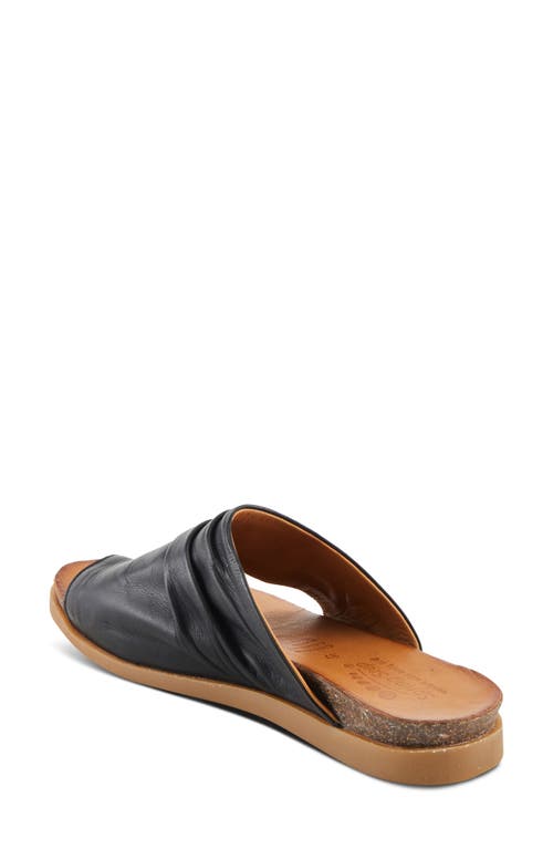 Spring Step Bates Toe Loop Sandal In Black