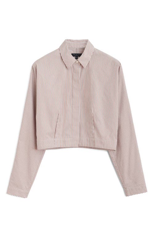 Rag & Bone Morgan Stripe Cropped Shirt In Brown Stripe