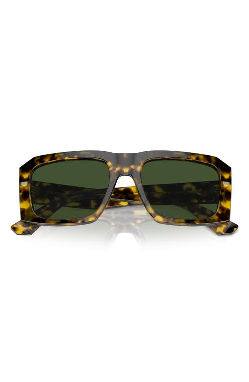Dolce & Gabbana 54mm Square Sunglasses in Yellow Havana at Nordstrom