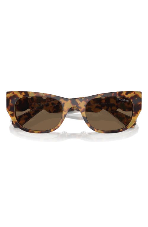 Swarovski 53mm Pillow Sunglasses In Havana Transparent