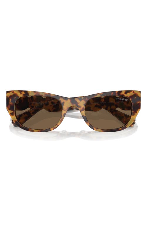 Shop Swarovski 53mm Pillow Sunglasses In Havana Transparent