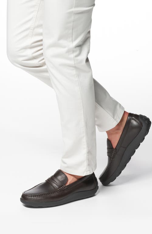 Shop Geox Spherica Penny Loafer In Coffee