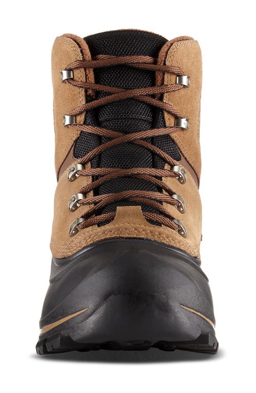 Sorel Buxton Lace Boots In Delta/black