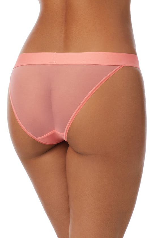 Shop Dkny Sheers Cheeky Bikini Cut Briefs In Shell Pink