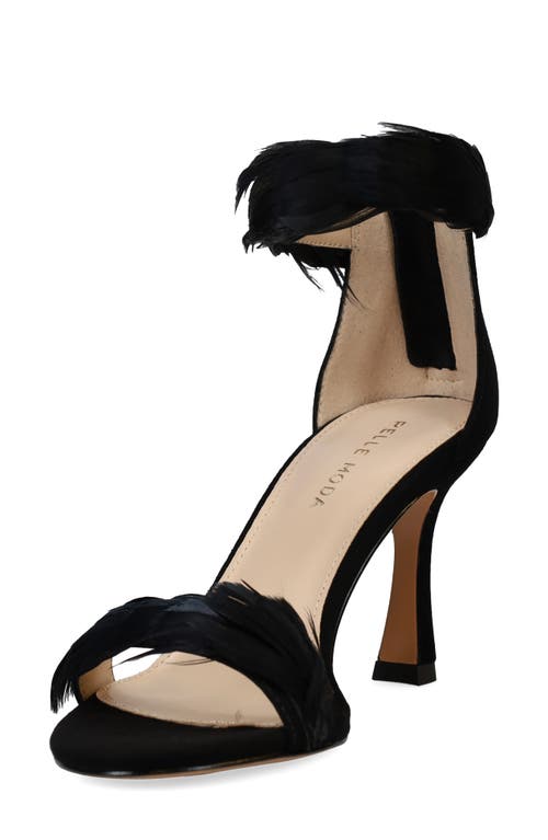 Pelle Moda Breece Ankle Strap Sandal In Black