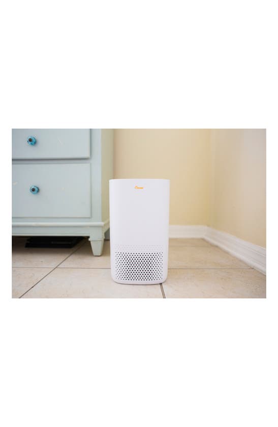Crane Air True Hepa Air Purifier In White ModeSens