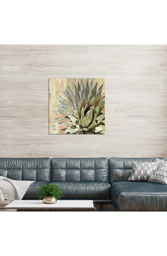 Icanvas Succulent I By Lindsay Benson Canvas Wall Art In Green Flora