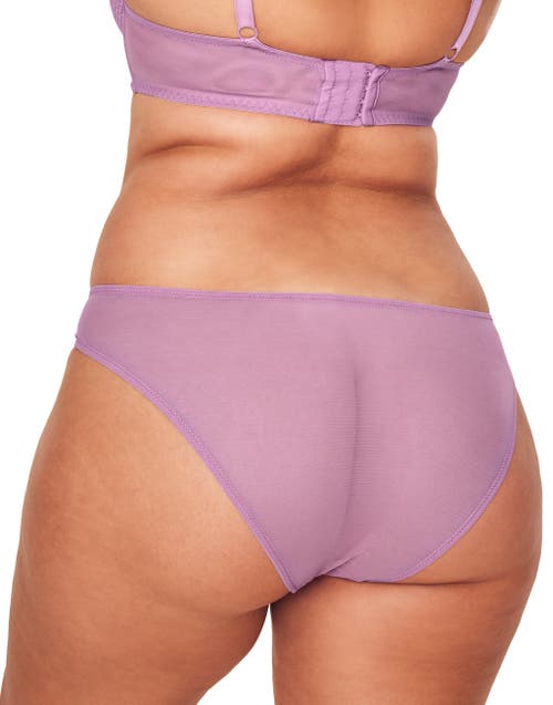 Shop Adore Me Marella Bikini Panties In Dark Purple