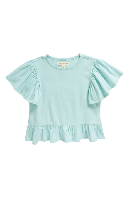 Tucker + Tate Kids' Ruffle Flutter Sleeve T-Shirt at Nordstrom,