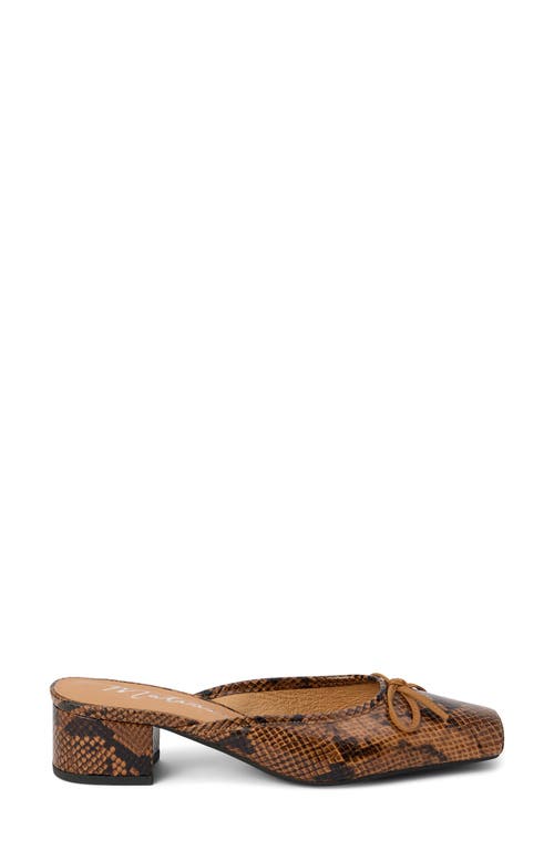 Matisse Basilio Heeled Mule In Brown Snake In Brown