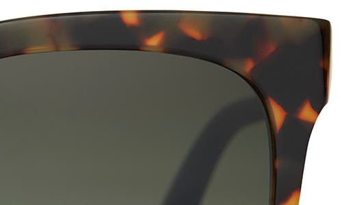 TOMS TOMS NATASHA 53MM POLARIZED SQUARE SUNGLASSES