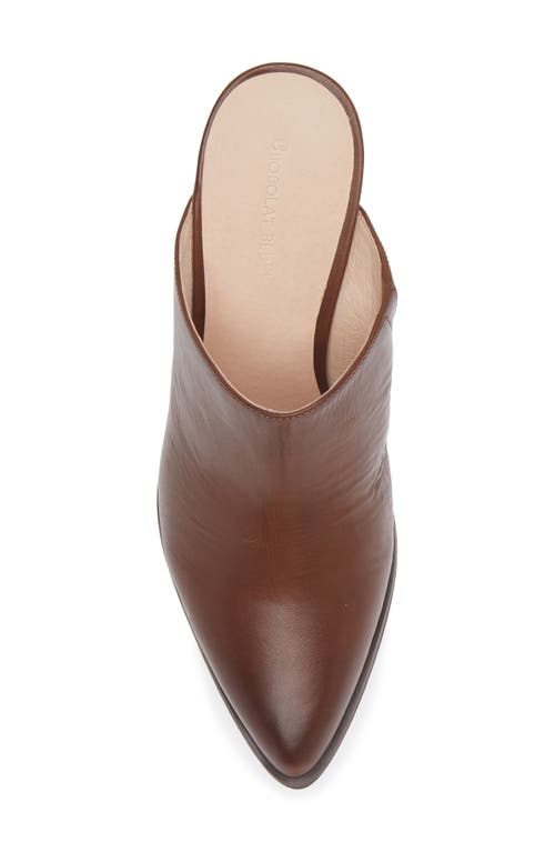 Chocolat Blu Emery Pointed Toe Mule In Dark Brown Leather