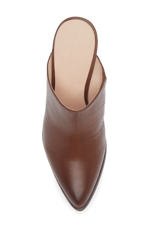 Shop Chocolat Blu Emery Pointed Toe Mule In Dark Brown Leather