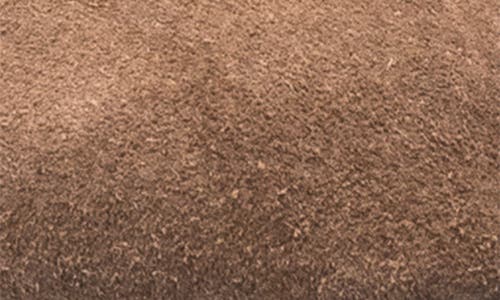 Elephantito Girls' Suede Mary Jane With Decorative Button - Toddler, Little Kid, Big Kid In Beige