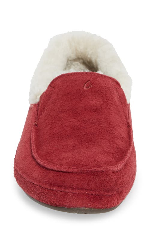 Olukai Ku'una Genuine Shearling Slipper In Lilikoi/lilikoi