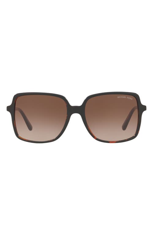 Michael Kors 56mm Gradient Square Sunglasses In New Tortoise/smoke Gradient