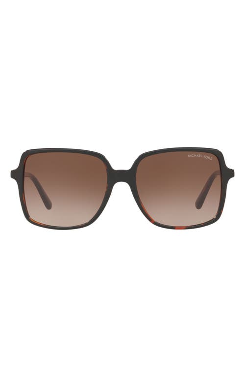 Michael Kors 56mm Gradient Square Sunglasses in New Tortoise/Smoke Gradient at Nordstrom