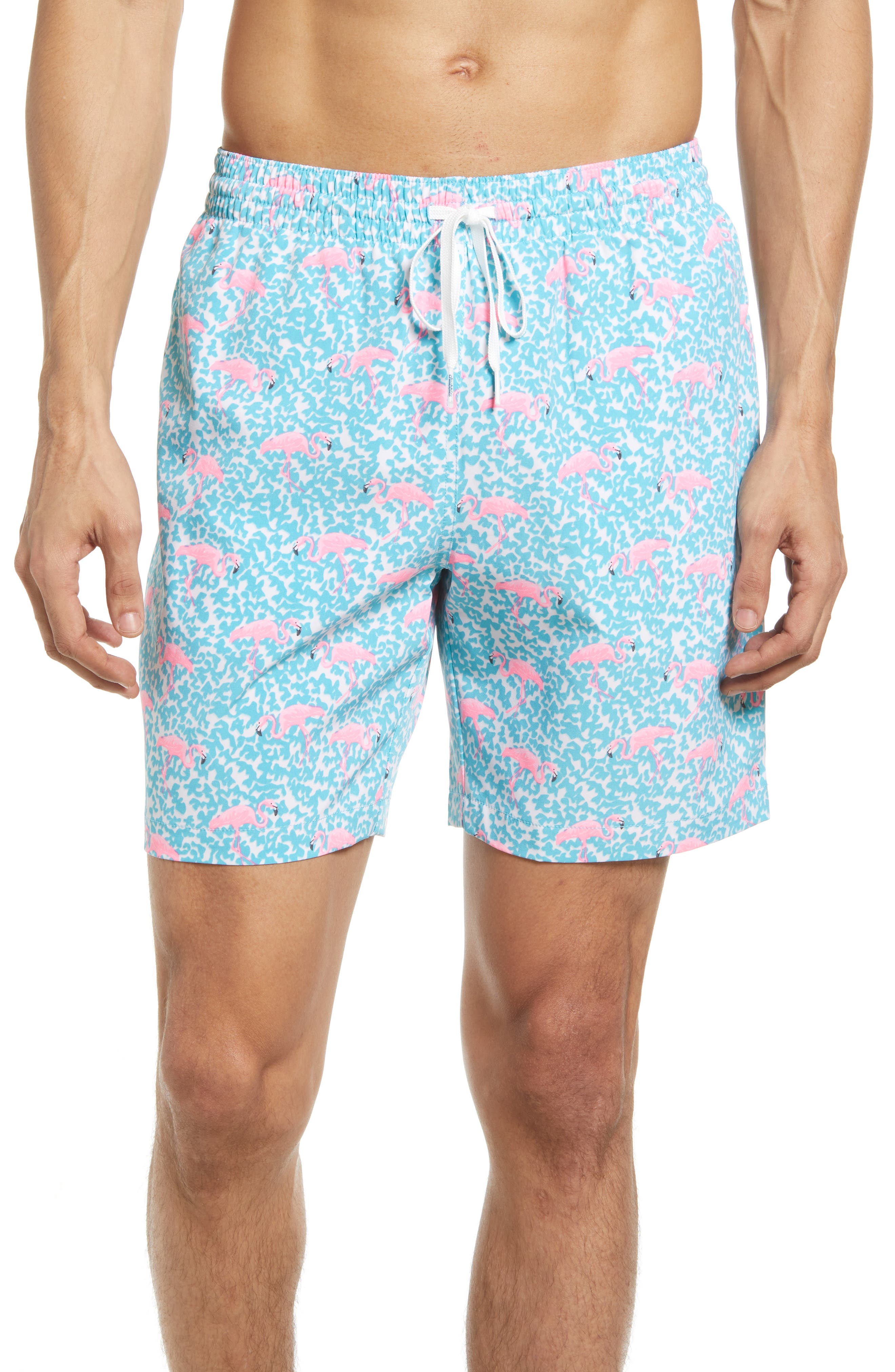 bathing suit chubbies