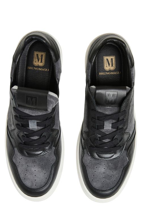 Bruno Magli Henry Low Top Sneaker In Black