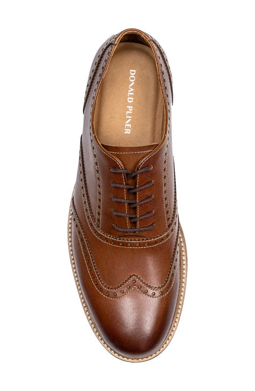 Donald Pliner Keelan Wingtip Oxford In Whiskey/whiskey