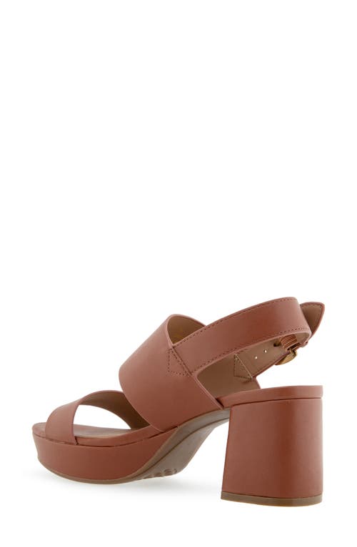 AEROSOLES AEROSOLES CAMILIA PLATFORM SANDAL