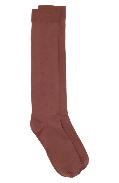 Shop Nordstrom Opaque Mid Calf Socks In Brown Brunette