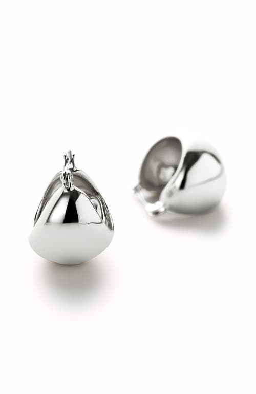 Ana Luisa Hoop Earrings In Silver