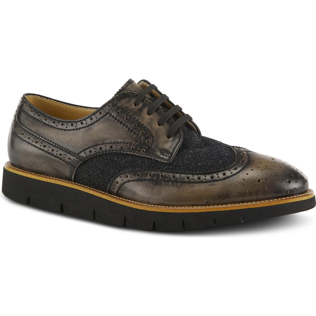 L'artiste By Spring Step Beaufort Derby In Black