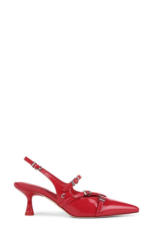 Circus Ny By Sam Edelman Fraya Slingback Pointed Toe Pump In Riviera Red