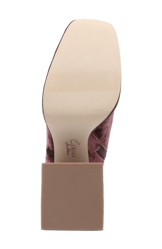 Circus Ny Kia Block Heel Bootie In Red Currant
