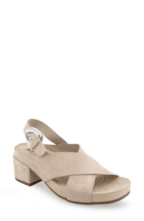 Aerosoles Women's Chrystie Buckle Block Heel Sandals In Pale Khaki Suede