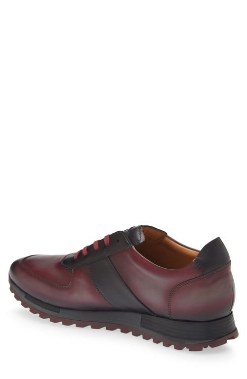 Mezlan Latini Sneaker In Graphite/red