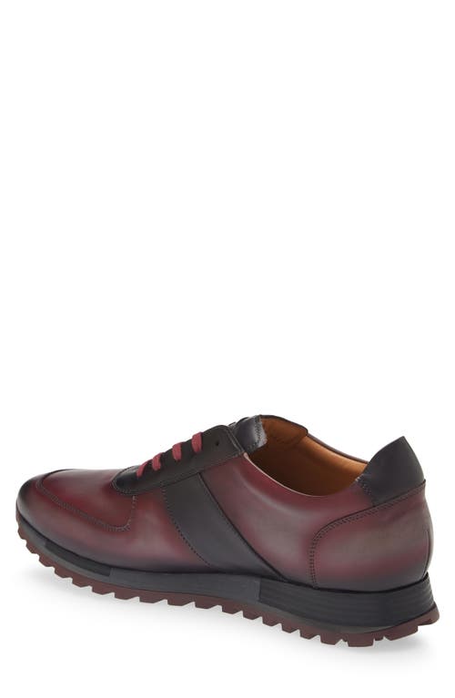 Shop Mezlan Latini Sneaker In Graphite/red