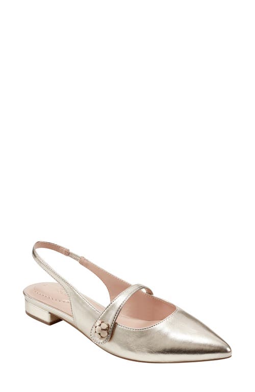 Aubriana Slingback Mary Jane Pointed Toe Flat in Gold