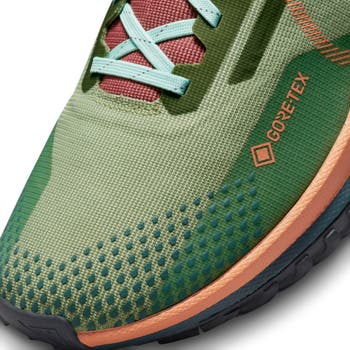 Calzado de trail running impermeable para hombre Nike Pegasus Trail 4  GORE-TEX