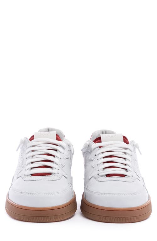 Shop P448 Vert Sneaker In White/red Gum