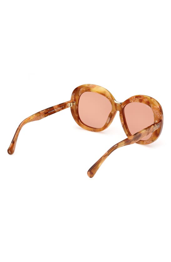 Shop Max Mara Edna 55mm Round Sunglasses In Havana / Brown