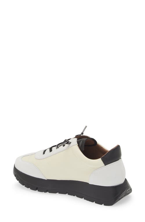 Wonders Fashion Slip-on Sneaker In White/off White/black Combo