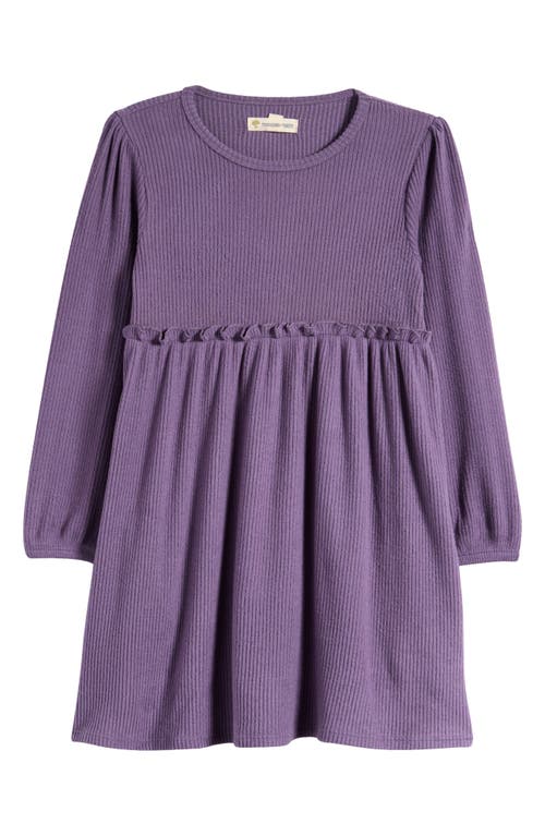 Tucker + Tate Kid's Ruffle Long Sleeve Dress in Purple Montana 