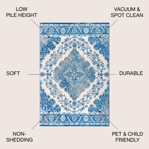 Jonathan Y Bohemian Flair Boho Vintage Medallion Area Rug In Cream/blue