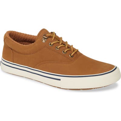 Sperry Striper Ii Storm Cvo Waterproof Sneaker, Brown