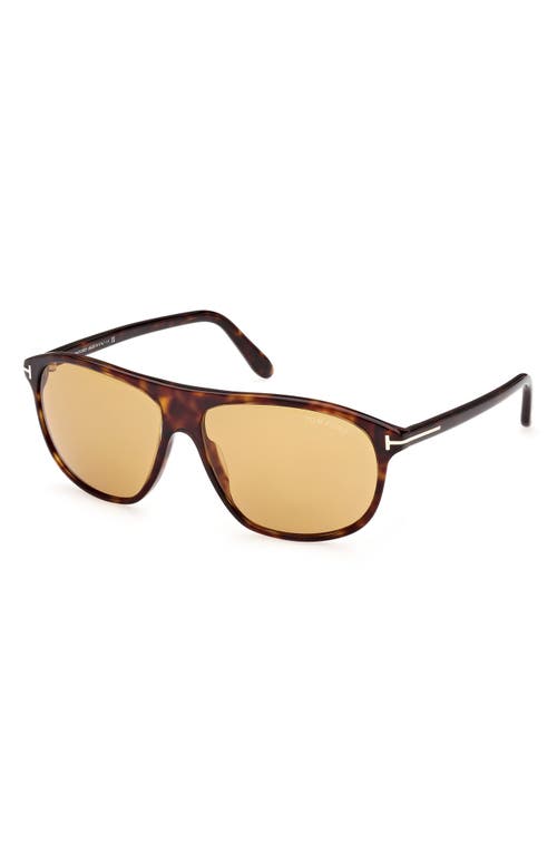 Shop Tom Ford Prescott 60mm Square Sunglasses In Shiny Dark Havana/amber