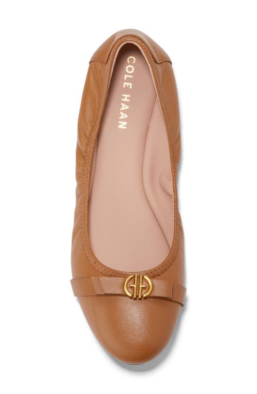 Shop Cole Haan Tova Bow Ballet Flat In Pecan Ltr