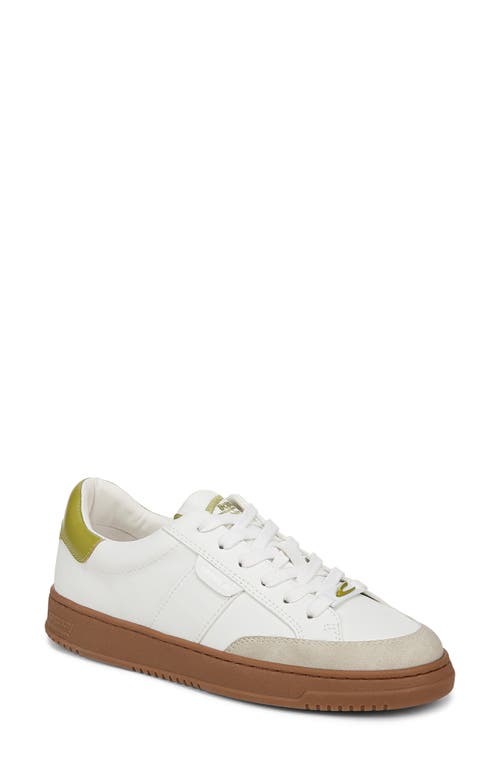 Shop Circus Ny By Sam Edelman Vance Sneaker In Bright White/cactus