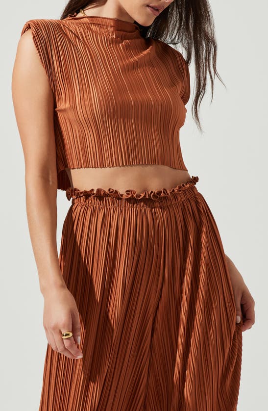Shop Astr The Label Cruise Plissé Sleeveless Crop Top In Rust