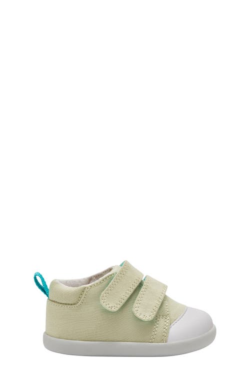 Ten Little First Walkers Sneaker In Sage Green