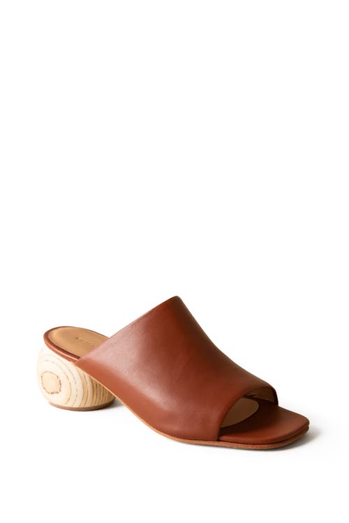 Shop Huma Blanco Milla Slide Sandal In Cinnamon