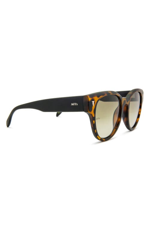 Shop Mita Sustainable Eyewear Brickell 50mm Round Sunglasses In Matte Tort/gradient Green